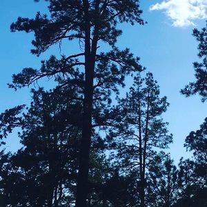 Meet your Posher, Kaytlann